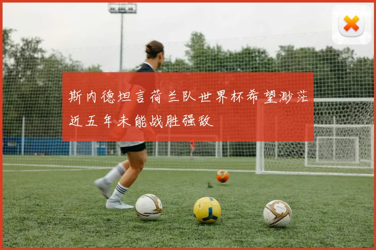 斯内德坦言荷兰队世界杯希望渺茫近五年未能战胜强敌