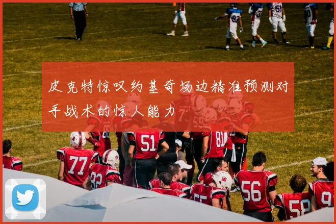 皮克特惊叹约基奇场边精准预测对手战术的惊人能力