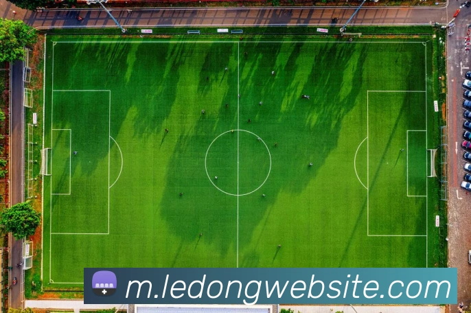 乐动体育平台生态图