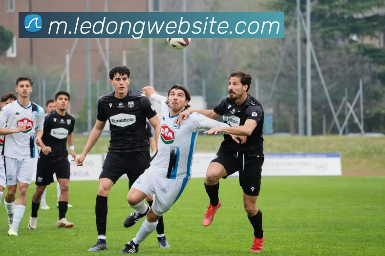 乐动体育APP 封面图